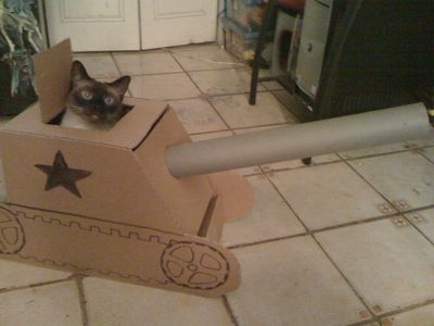 Cat pictures｜猫戦車　その１