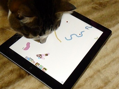 Cat pictures｜iPad、使う？