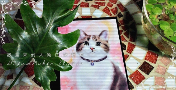 Cat pictures｜大衛畫貓2