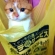 Cat pictures｜今日の購入品♡(笑)