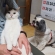 Cat pictures｜ミャオと犬