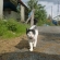 Cat pictures｜親子（1）