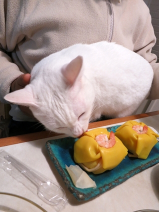Cat pictures｜柚子茶巾寿司、美味しく頂きました