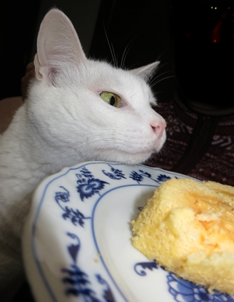 Cat pictures｜雪菜のグルメ　ママのロールケーキ再び