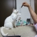 Cat pictures｜くじらに興奮！1