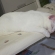 Cat pictures｜眠いの･･･