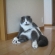 Cat pictures｜2.　なんてね！