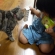 Cat pictures｜お客チャマシリーズ第三弾！