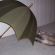 Cat pictures｜傘と遊ぶ半蔵プー