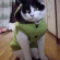 Cat pictures｜グリーンパーカー