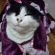 Cat pictures｜満面の笑み！