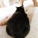 Cat pictures｜テーブルの下の黒猫