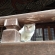 Cat pictures｜高野山の猫