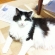 Cat pictures｜我が家の王子様、アイリスさん。