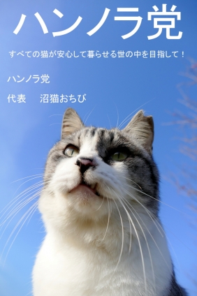 Cat pictures｜ポスター