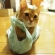 Cat pictures｜我が家の袋担当です