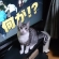 Cat pictures｜一体何が！？