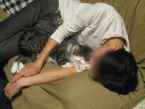 Cat pictures｜パパと熟睡