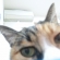 Cat pictures｜ん？