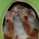 Cat pictures｜可愛い肉球～