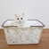 Cat pictures｜洗濯かごに入る猫