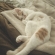 Cat pictures｜よく寝た！