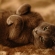 Cat pictures｜Sleepin sleepin