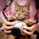 Cat pictures｜カメラにゃん