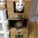 Cat pictures｜猫のアパート♡