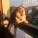 Cat pictures｜夕陽に向かって大あくび