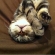 Cat pictures｜Zzz...