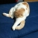 Cat pictures｜残業疲れ