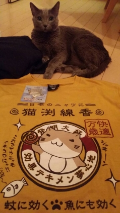 Cat pictures｜ゆっうにゃぁん！(〃'▽'〃)ﾉｼ☆