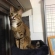 Cat pictures｜タワーの上からこんばんにゃん！