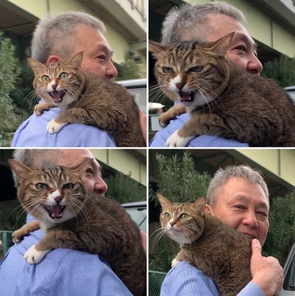Cat pictures｜知らんおっさんに抱っこされたニャン！