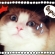Cat pictures｜やべっ(((゜Д゜；)))