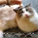 Cat pictures｜恍惚の表情　　　　　꒰ღ˘◡˘ற꒱✯*･