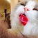 Cat pictures｜一心不乱！舌かまないでよ～！