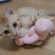 Cat pictures｜だっこ♥（２）