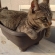 (拙宅名物）　猫鉢　（単品縦長）