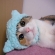 Cat pictures｜モコモコ♡