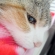 Cat pictures｜とろ～ん。