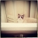 Cat pictures｜お風呂ねOK,OK！今日も異常なし！