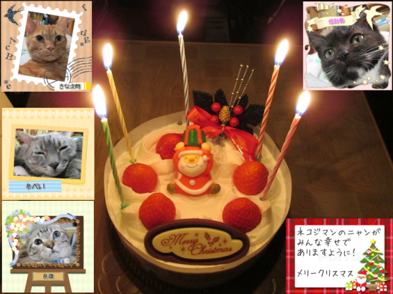 Cat pictures｜クリスマスケーキ