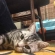 Cat pictures｜iPhone逆さ撮り