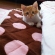 Cat pictures｜おはようございニャーす、メルでーす！
