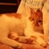 Cat pictures｜イスでリラックス♡メルでーす！