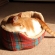 Cat pictures｜新しいベッドだニャ♡メルでーす！