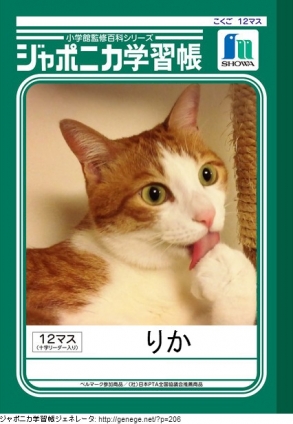 Cat pictures｜ジャポニカ学習帳3