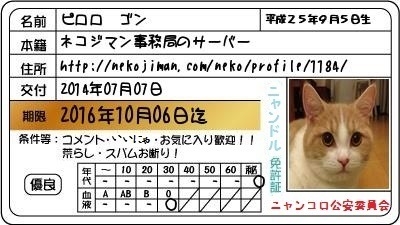 Cat pictures｜身分証明書ですにゃ。